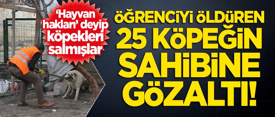 Hayvan hakları derneği başkanı çıktı... Öğrenciyi öldüren 25 köpeğin sahibine gözaltı!