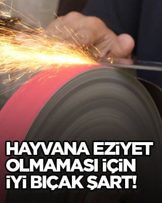 Hayvana eziyet olmaması için iyi bıçak şart!
