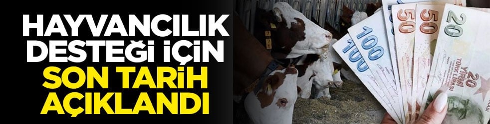 Hayvancılık desteği için son tarih açıklandı