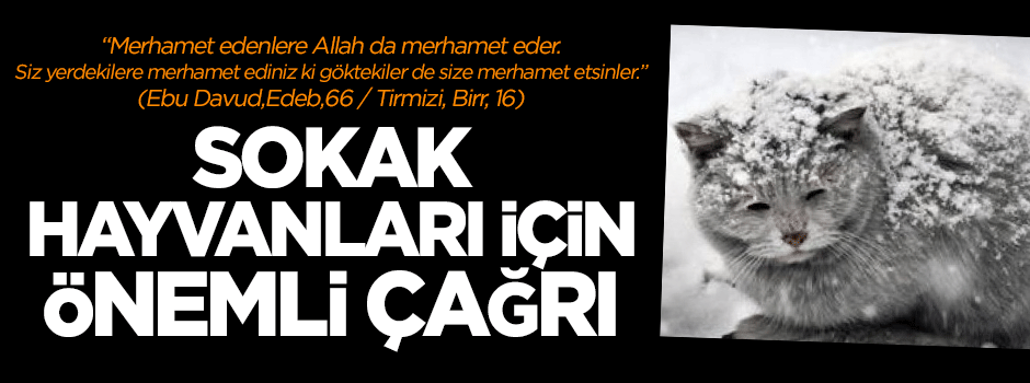 Hayvanlar için doğaya yem bırakın