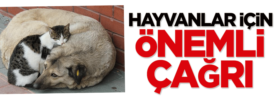 Hayvanlar için önemli çağrı