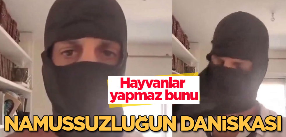 Hayvanlar yapmaz bunu! Namussuzluğun daniskası