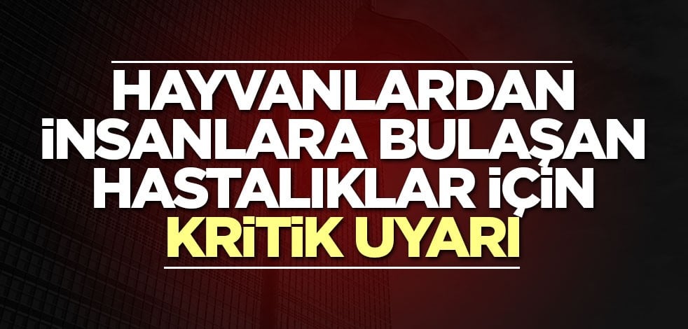 Hayvanlardan insanlara bulaşan hastalıklar için flaş uyarı