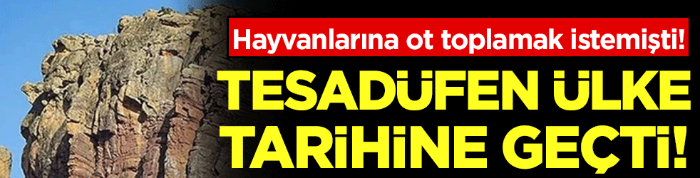 Hayvanlarına ot toplatmak istemişti: Ülke tarihine geçen keşifi yaptı!