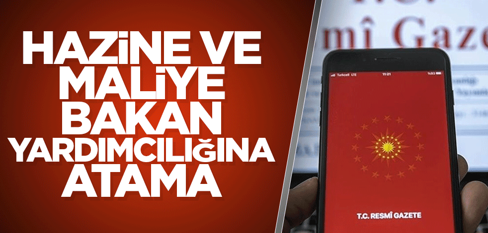 Hazine ve Maliye Bakan Yardımcılığına atama