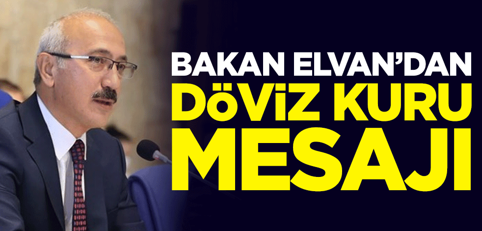Hazine ve Maliye Bakanı Lütfi Elvan'dan döviz kuru mesajı