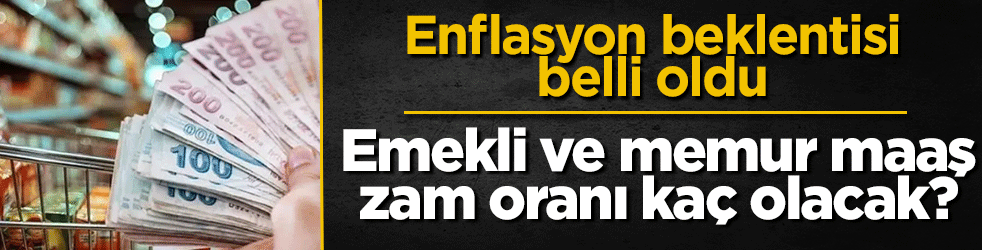 Haziran ayı enflasyon beklentisi belli oldu! SSK Bağ-Kur Emekli ve memur maaş zammı yüzde kaç olacak?