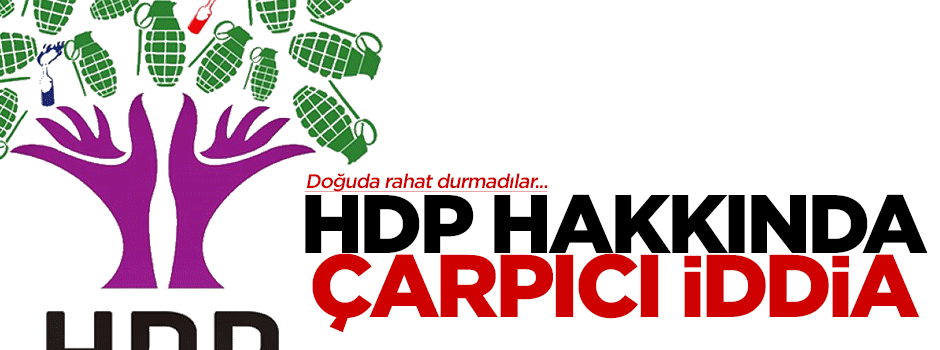 HDP 10 bin oyda oynama yaptı iddiası