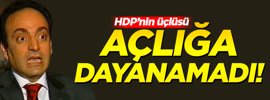 HDP açlık grevlerini sonlandırdı