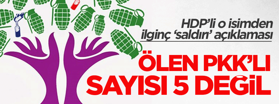 HDP: Ağrı'da ölen PKK'lı sayısı 5 değil