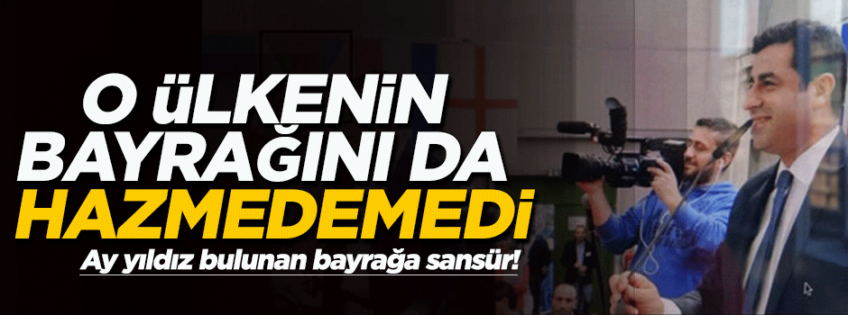 HDP Azerbaycan bayrağına da tahammül etmedi!