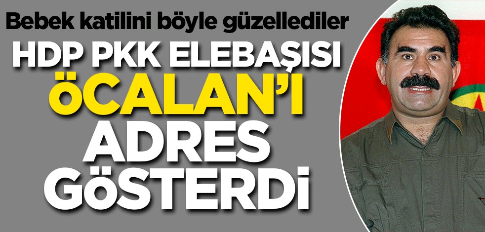 HDP bebek katilini adres gösterdi! "Çözümün muhatabı sayın Öcalan'dır"