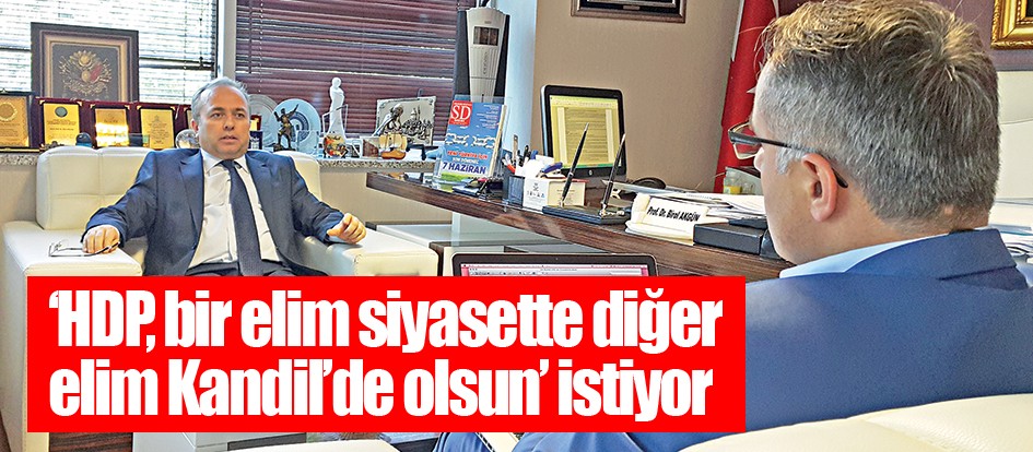 ‘HDP, bir elim siyasette diğer elim Kandil’de olsun’ istiyor