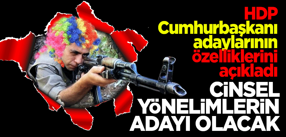 HDP cumhurbaşkanı adaylarının özelliklerini açıkladı