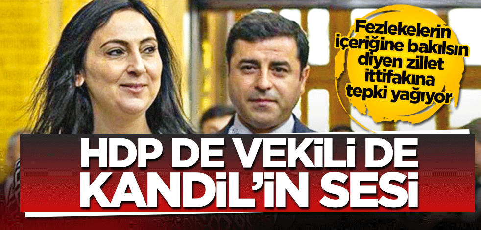 HDP de vekili de Kandil’in sesi! ‘Parti ile vekiller ayrılsın. Fezlekelerin içeriğine bakılsın" diyen zillet ittifakına tepki yağıyor