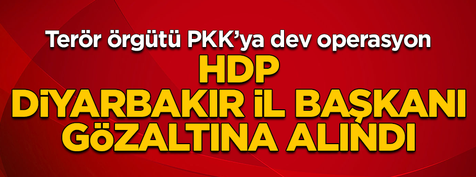 HDP Diyarbakır İl Başkanı gözaltına alındı