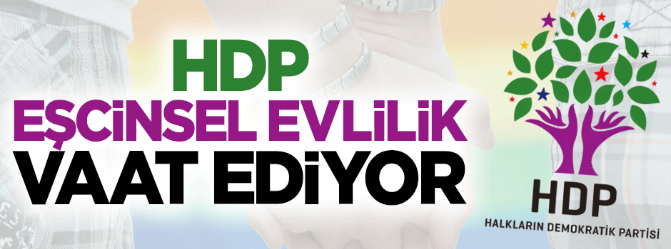 HDP eşcinsel evlilik vaat ediyor