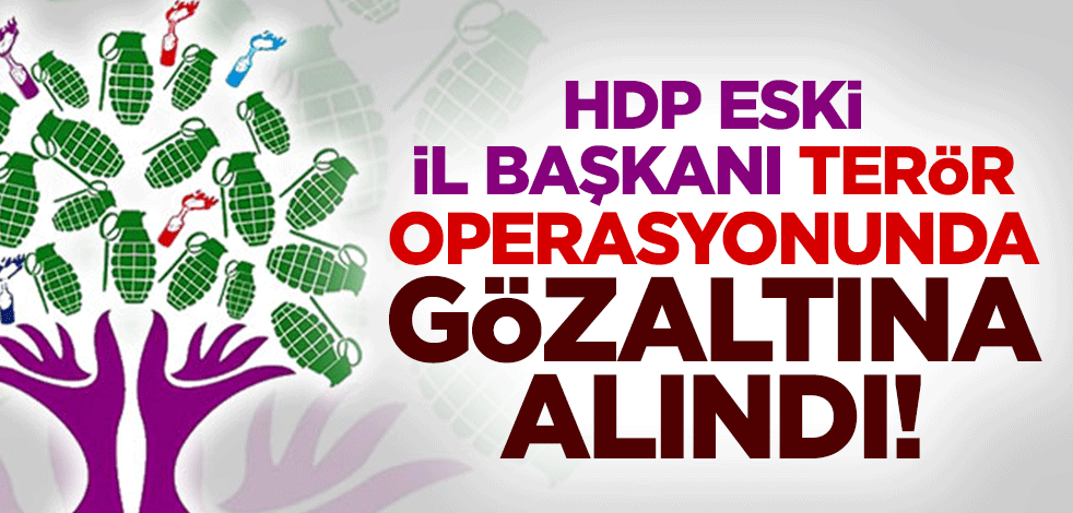 HDP eski il başkanı, terör operasyonunda gözaltına alındı!