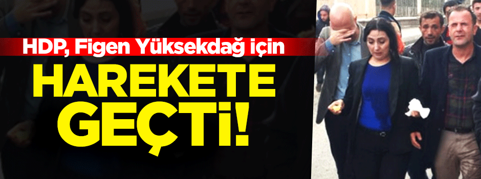 HDP Figen Yüksekdağ için harekete geçti