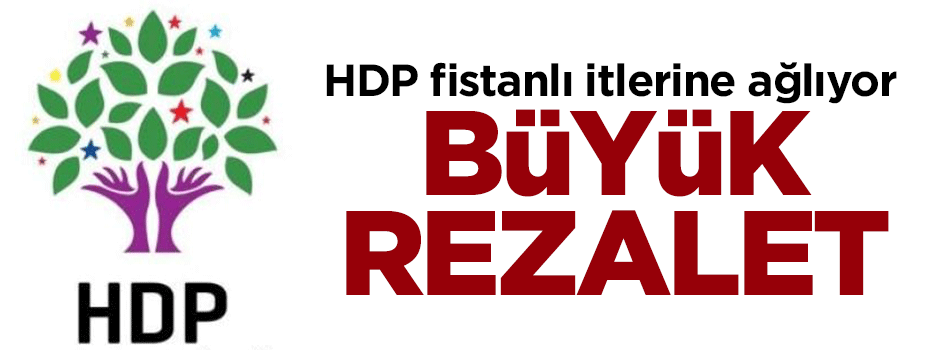 HDP fistanlı itlerine ağlıyor