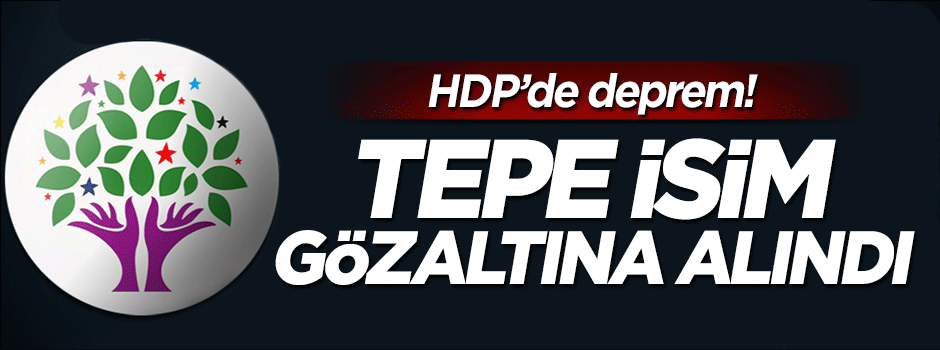 HDP Eş Genel Başkan Yardımcısı Alp Altınörs gözaltına alındı