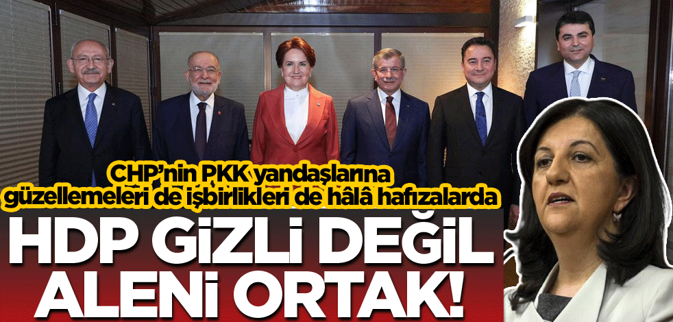 HDP gizli değil aleni ortak!