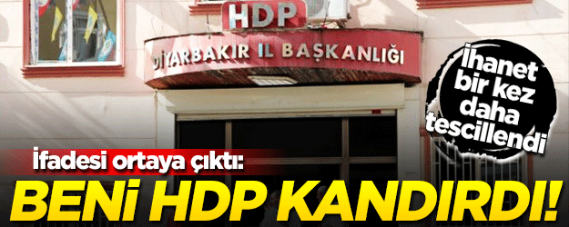HDP il ve ilçe binaları PKK şubesi gibi!