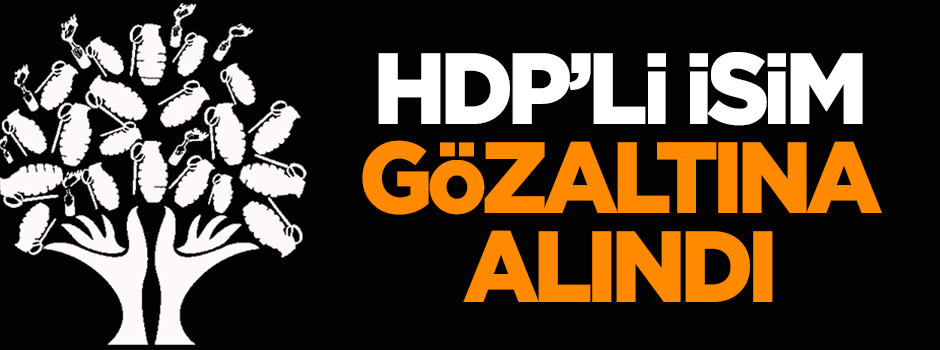 HDP İlçe Başkanı gözaltına alındı
