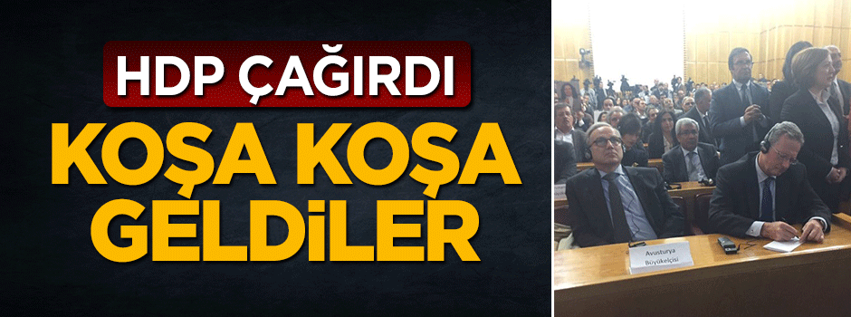 HDP Meclis'e Avrupa Birliği büyükelçilerini getirtti