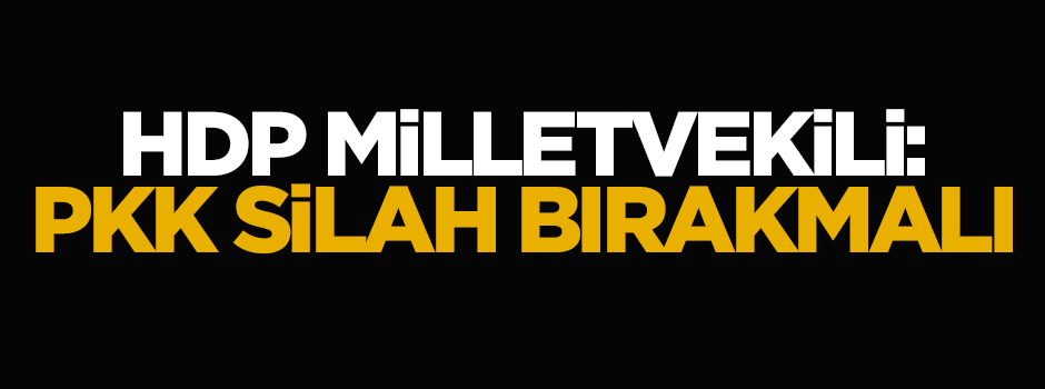 HDP milletvekilinden önemli çıkış: PKK silah bırakmalı