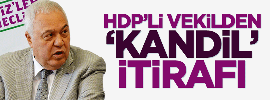 HDP'li Doğan: Kürt siyasetinin bir kanadı Kandil'dir