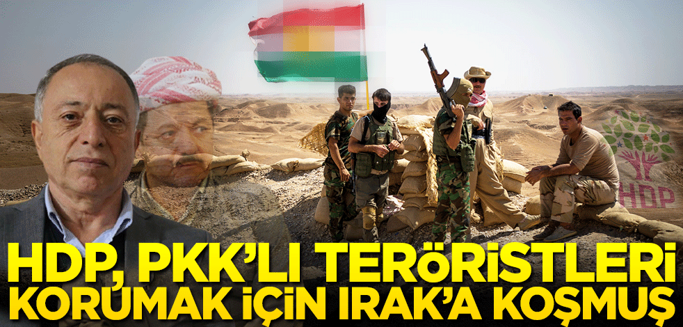 HDP, PKK’lı teröristleri korumak için Irak’a koşmuş