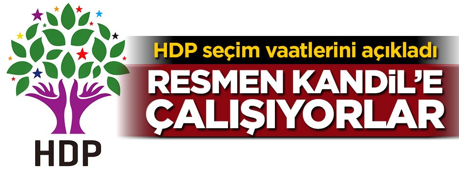 Bunlar resmen Kandil'e çalışıyor!