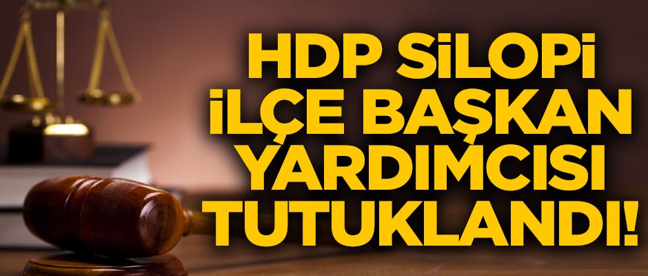 HDP Silopi İlçe Başkan Yardımcısı Fatma Gündüz tutuklandı