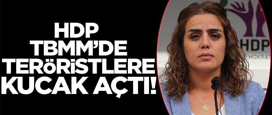 HDP, TBMM'de teröristlere yine kucak açtı