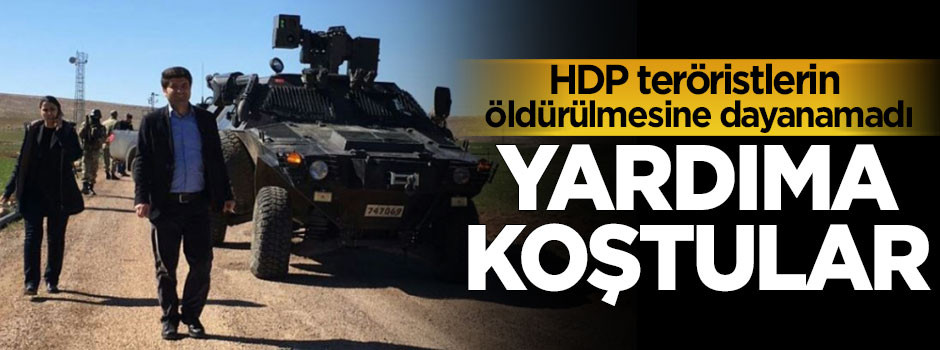 HDP teröristlerin öldürülmesine dayanamadı!