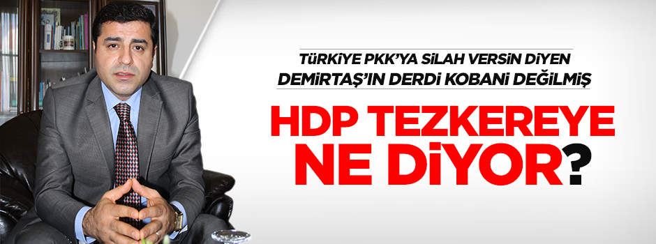 HDP tezkereye hayır diyor