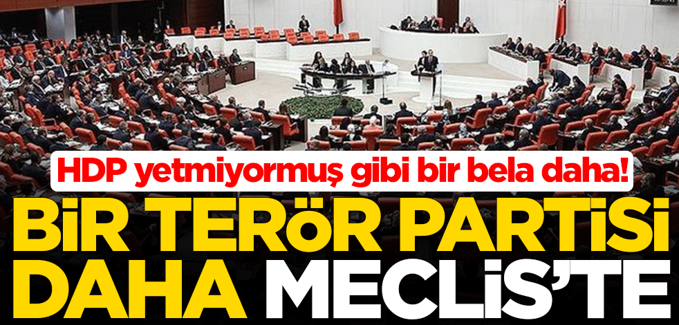 HDP yetmiyormuş gibi bir bela daha! Bir terör partisi daha Meclis’te