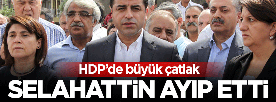HDP'de çatlak: Selahattin ayıp etti