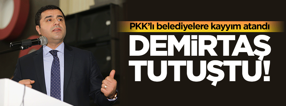 HDP'de kayyım paniği