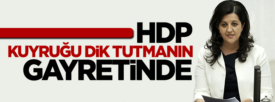 HDP'de kuyruğu dik tutma gayreti