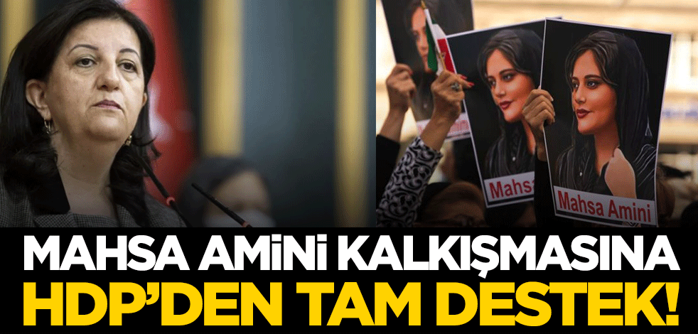 HDP'den Amini protestosuna tam destek! "Yüreğimiz direnenlerin yanında"