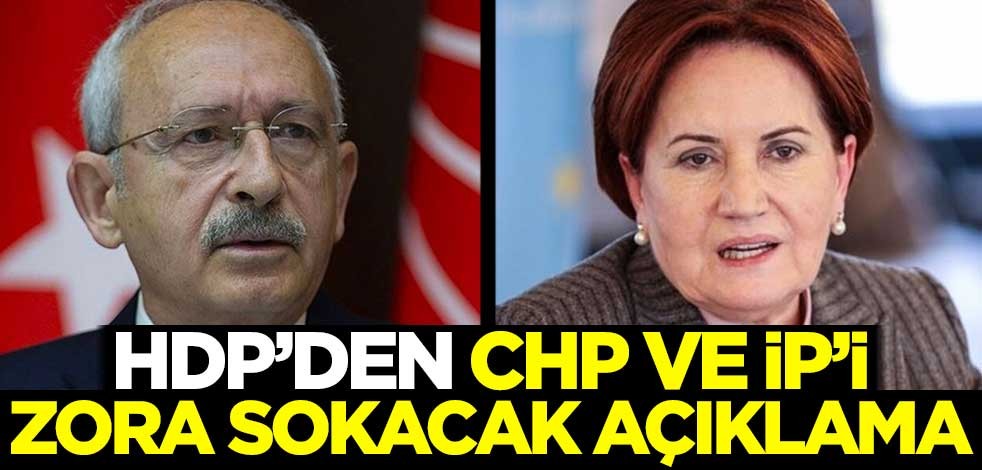 HDP'den CHP ve İP'i zora sokacak açıklama