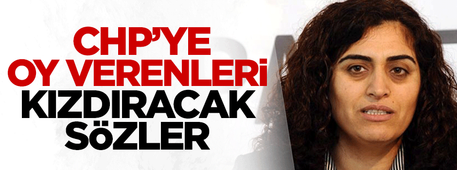 HDP'den CHP'lileri kızdıracak açıklama