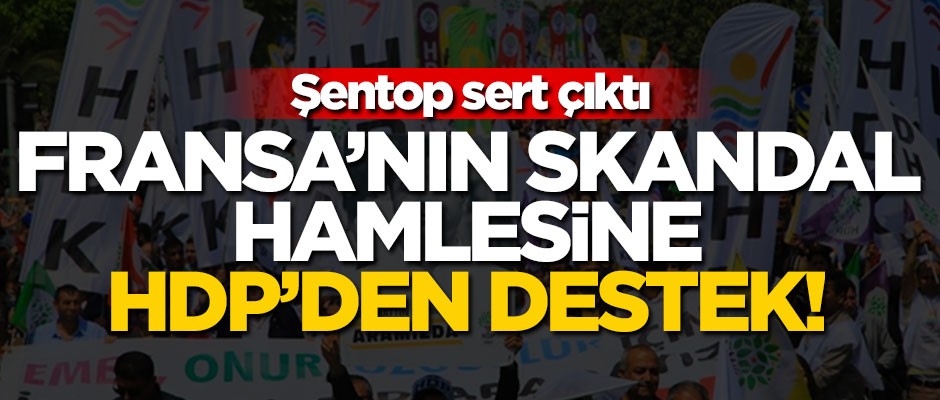 HDP'den Fransa'nın skandal teklifine destek!