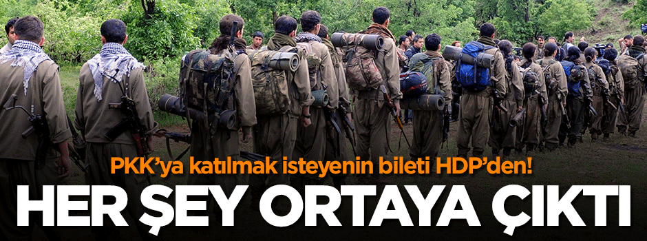 HDP'den PKK'ya bilet!