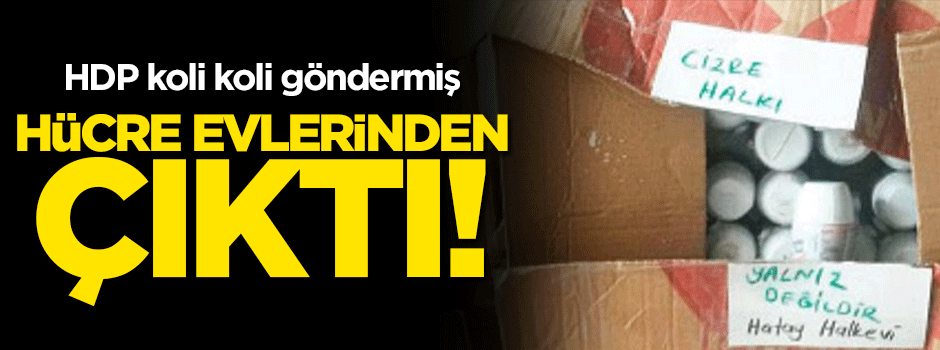 HDP'den PKK'ya koli koli yardım!