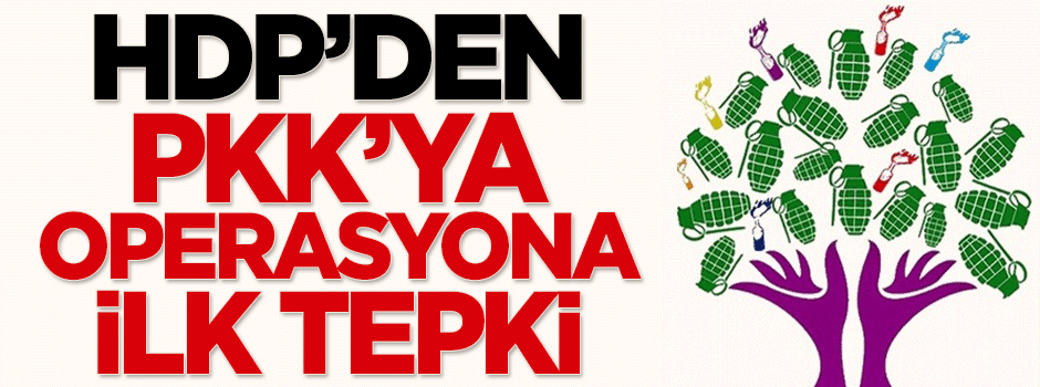 HDP'den PKK'ya operasyona ilk tepki