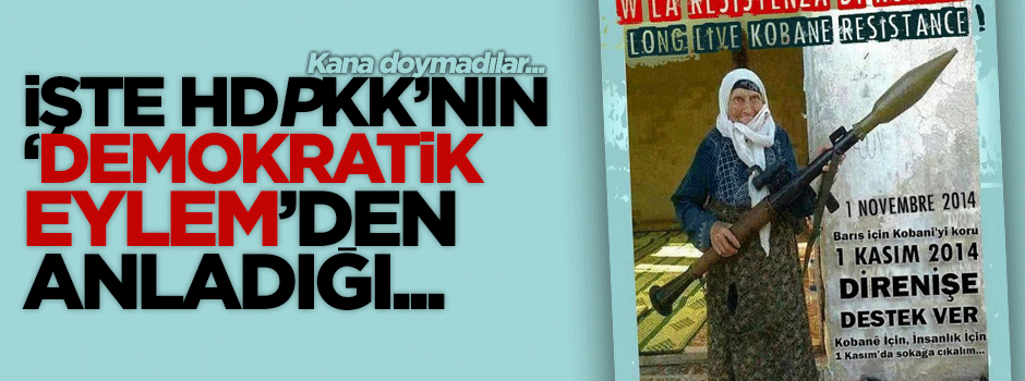 HDP'den silahla 'demokratik eylem' çağrısı!