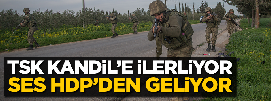 HDP'den skandal Kandil çağrısı